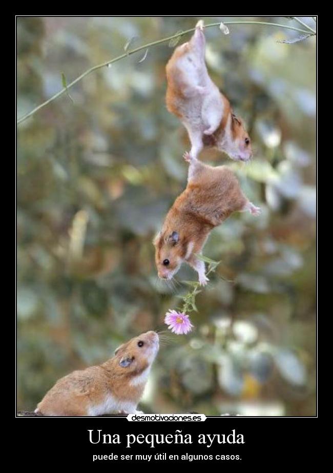 Una pequeña ayuda -