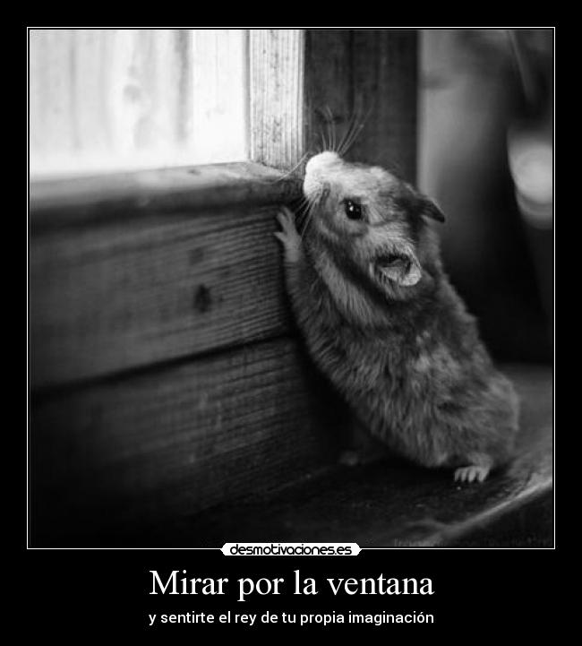 Mirar por la ventana - 