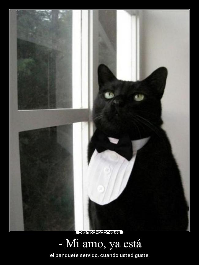 - Mi amo, ya está - el banquete servido, cuando usted guste.