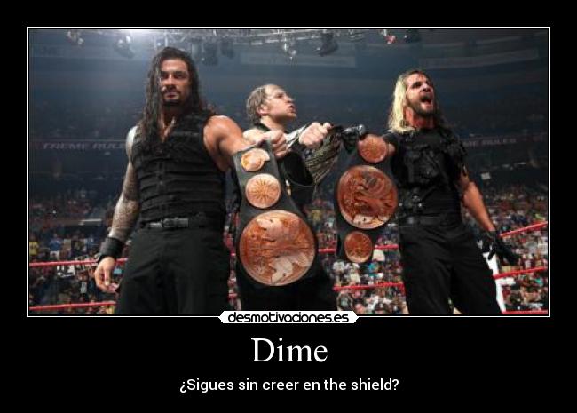 carteles wwe wrestling the shield campeones parejas los estados unidos desmotivaciones