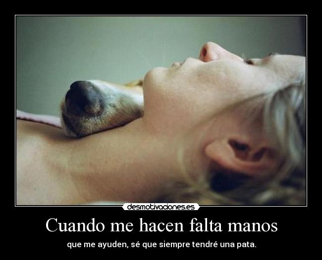 Cuando me hacen falta manos - que me ayuden, sé que siempre tendré una pata.