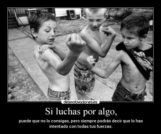 Si luchas por algo, - 