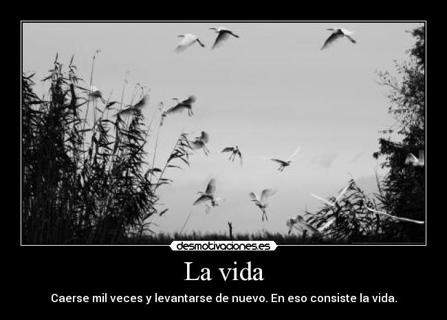 La vida -