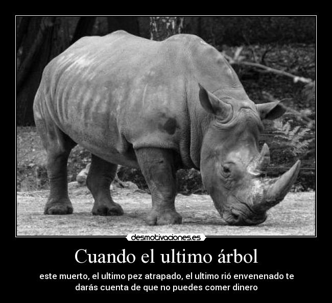 Cuando el ultimo árbol - este muerto, el ultimo pez atrapado, el ultimo rió envenenado te
darás cuenta de que no puedes comer dinero