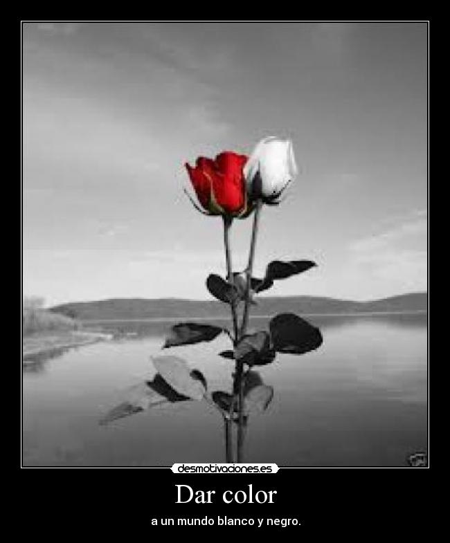 Dar color - a un mundo blanco y negro.