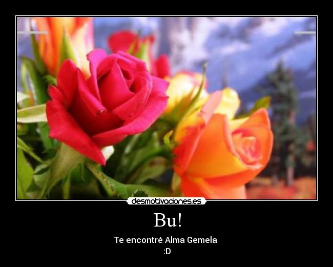 carteles alito siliceo desmotivaciones