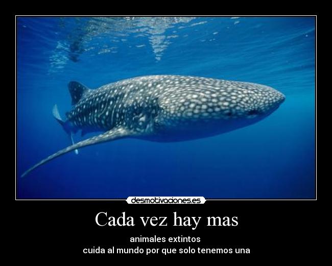 Cada vez hay mas - animales extintos
cuida al mundo por que solo tenemos una