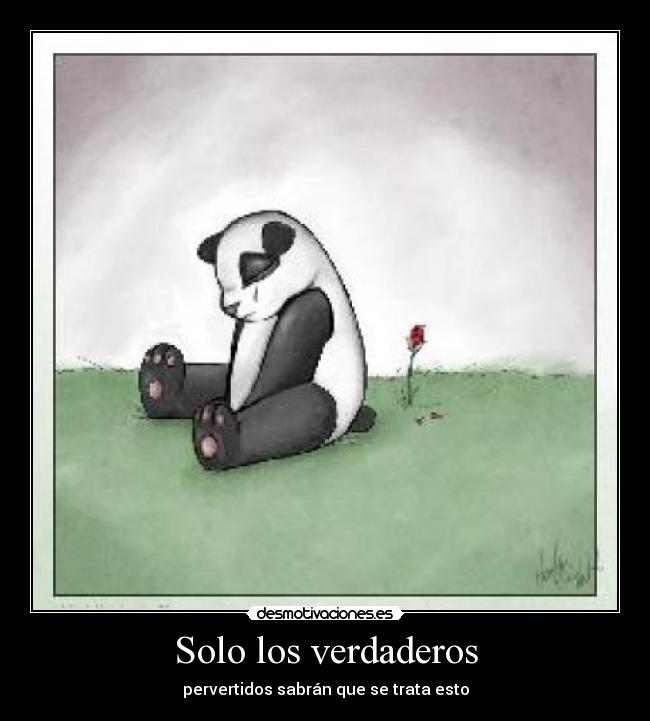 Solo los verdaderos - 