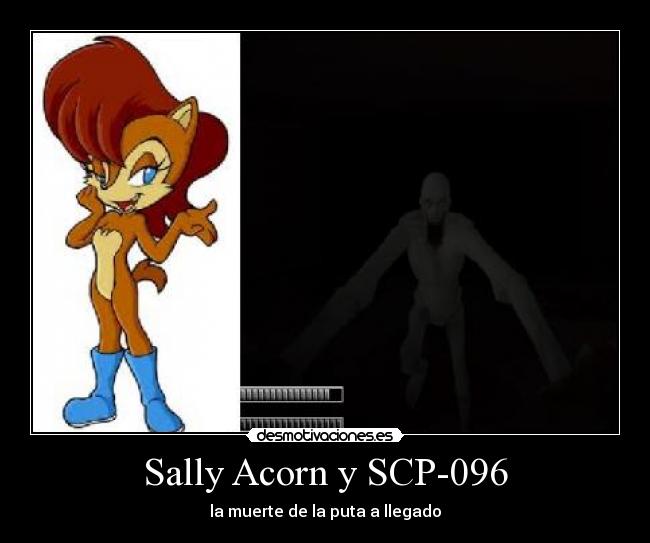 carteles que todo fan sonic esperaba muerte sally una manera horrible violentamente desmotivaciones