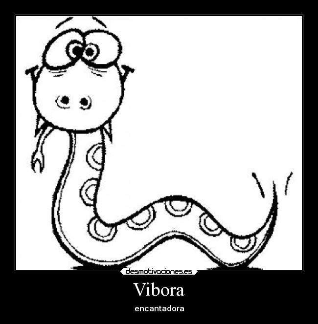 Vibora - encantadora