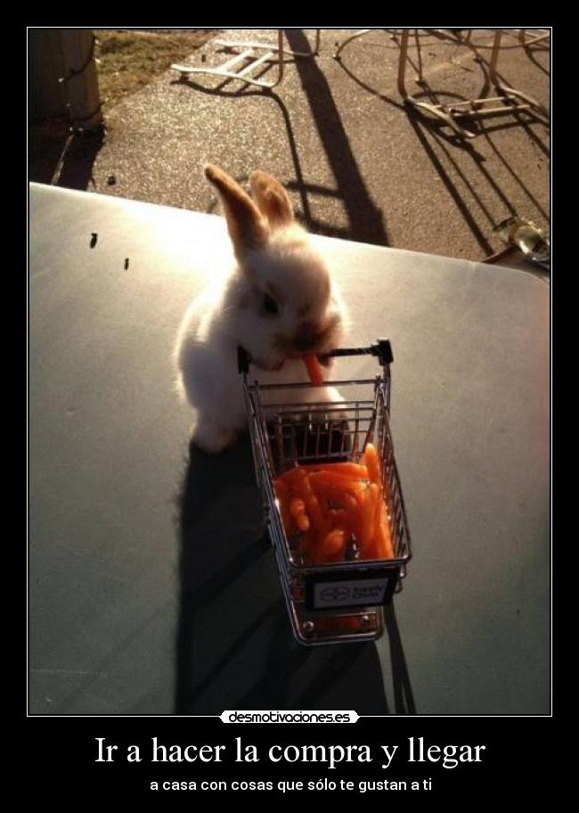 carteles vaya que desmotivaciones