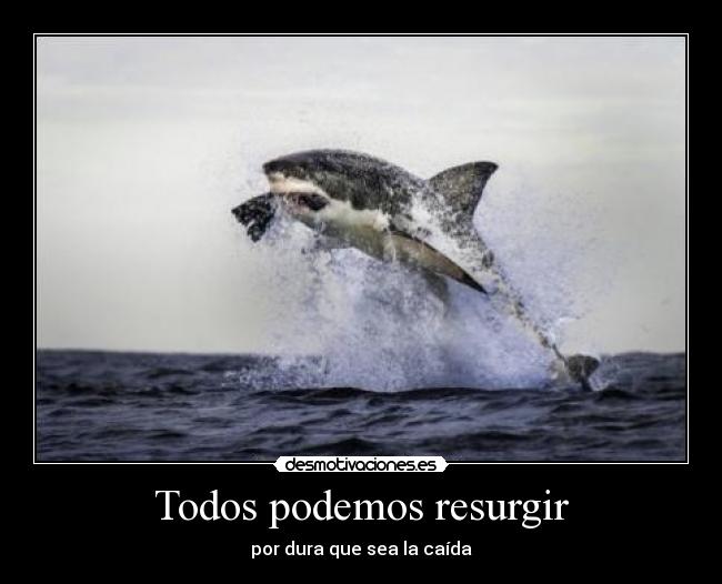 carteles  desmotivaciones