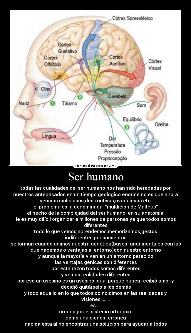 Ser humano - todas las cualidades del ser humano nos han sido heredadas por
nuestros antepasados en un tiempo geológico enorme,no es que ahora
seamos maliciosos,destructivos,avariciosos etc.
el problema es la denominada maldición de Malthus
el hecho de la complejidad del ser humano en su anatomía,
le es muy difícil organizar a millones de personas ya que todos somos
diferentes
todo lo que vemos,aprendemos,memorizamos,gestos
indiferentes,pensamientos
se forman cuando unimos nuestra genética(bases fundamentales con las
que nacemos o ventajas al entorno)con nuestro entorno
y aunque la mayoría vivan en un entorno parecido
las ventajas génicas son diferentes
por esta razón todos somos diferentes
y vemos realidades diferentes
por eso un asesino es un asesino igual porque nunca recibió amor y
decidió quitárselo a los demás
y todo aquello en lo que todos coincidimos en las realidades y
visiones........
es.....
creado por el sistema ortodoxo
como una ciencia erronea
nacida esta al no encontrar una solución para ayudar a todos