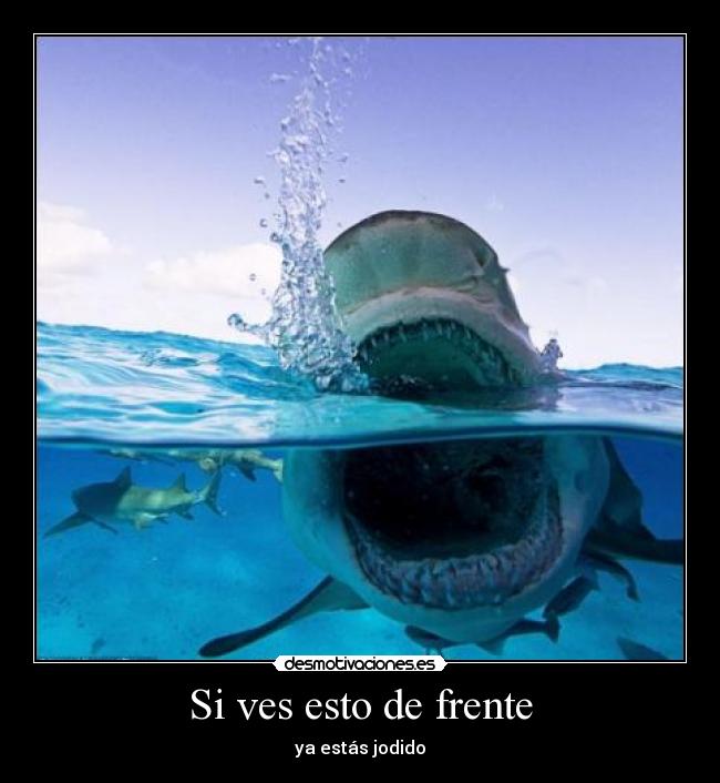 Si ves esto de frente -