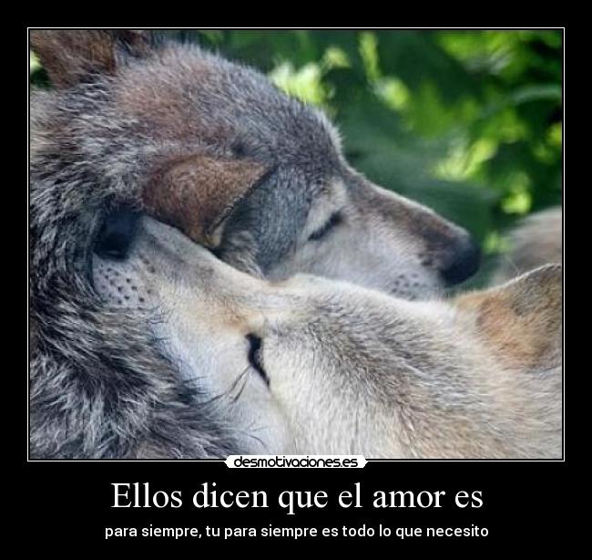 Ellos dicen que el amor es -
