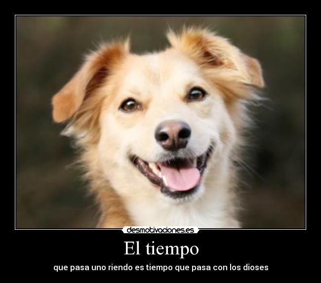 El tiempo - 
