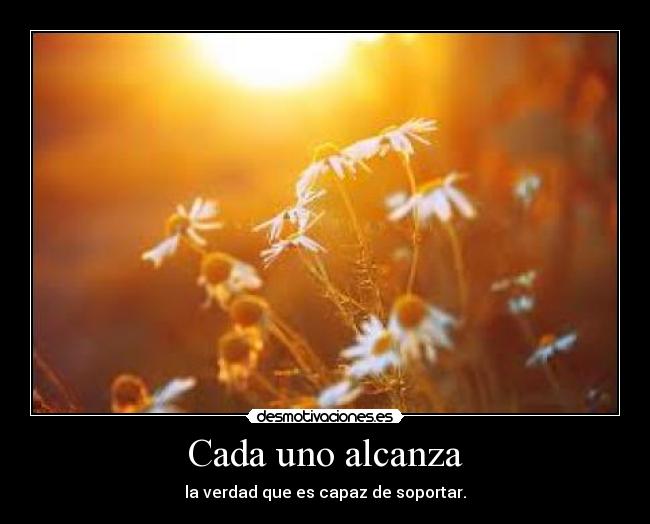 carteles kimii9 desmotivaciones