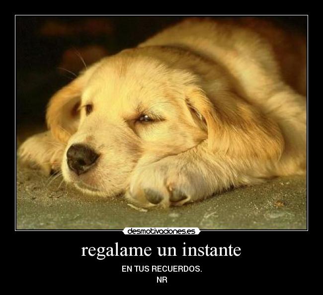 regalame un instante - EN TUS RECUERDOS.
NR