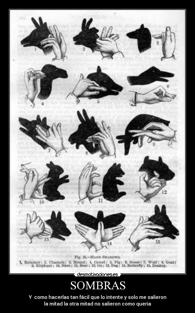 SOMBRAS - Y  como hacerlas tan fácil que lo intente y solo me salieron
la mitad la otra mitad no salieron como queria