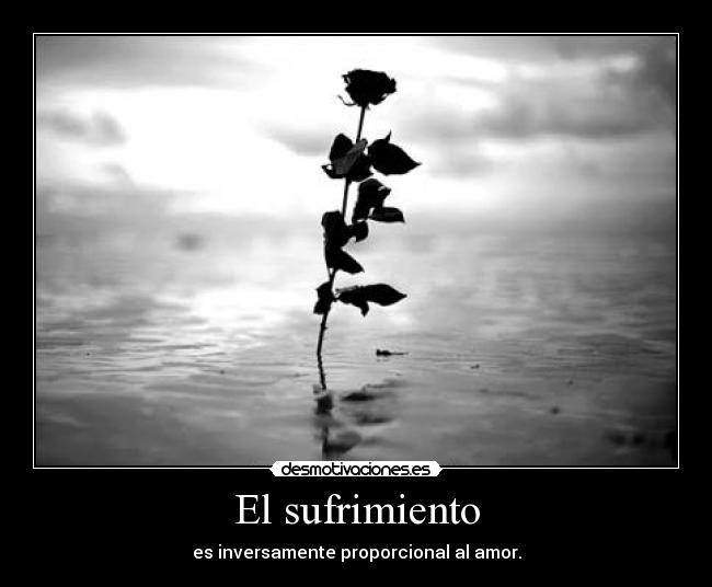 El sufrimiento - es inversamente proporcional al amor.