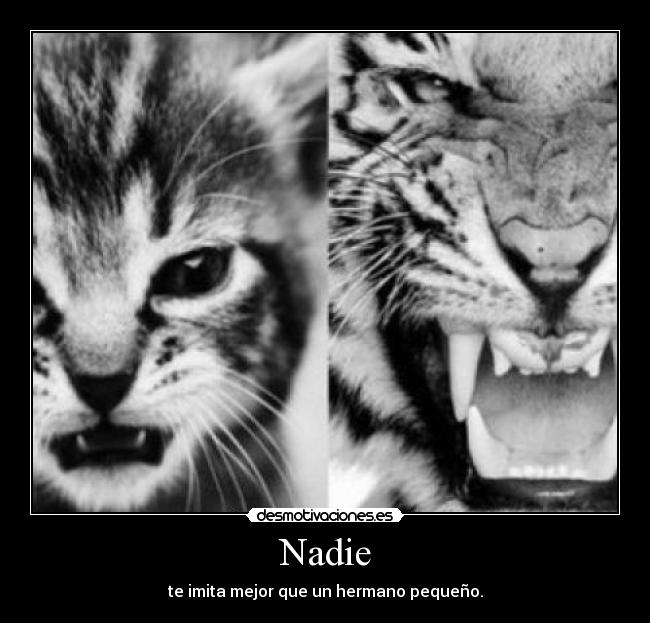 Nadie - 