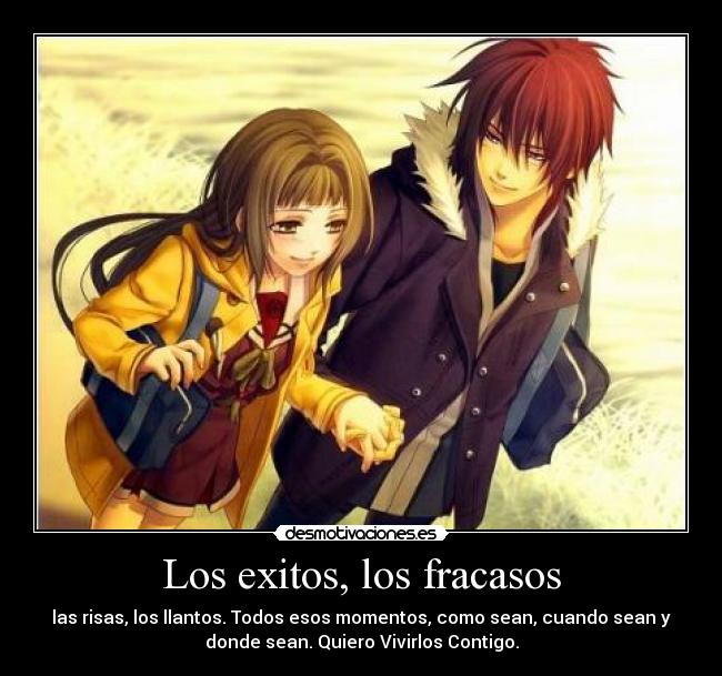 Los exitos, los fracasos -