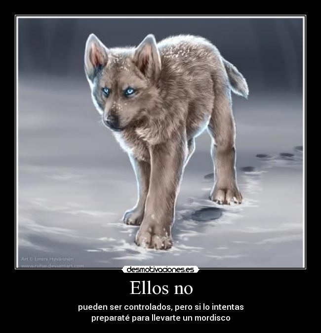 Ellos no - 