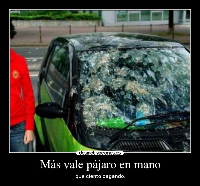 Más vale pájaro en mano - que ciento cagando.