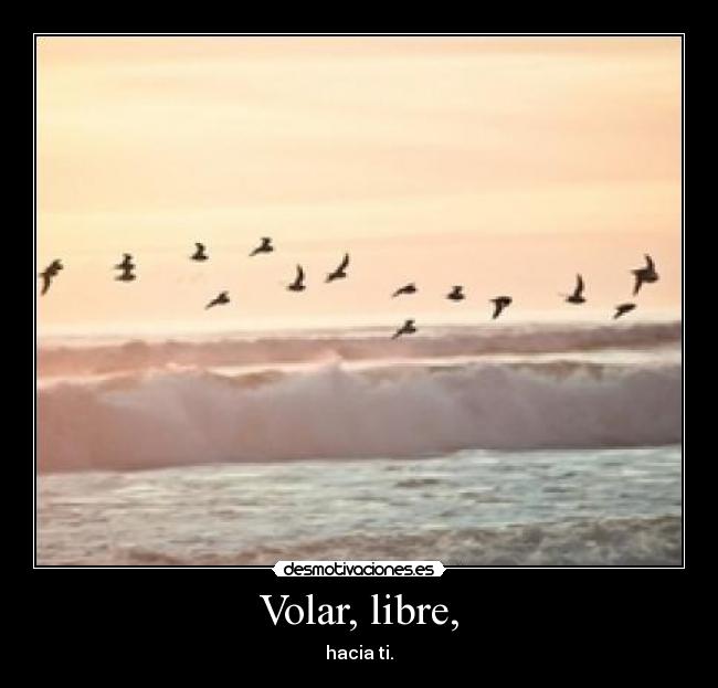 Volar, libre, - 