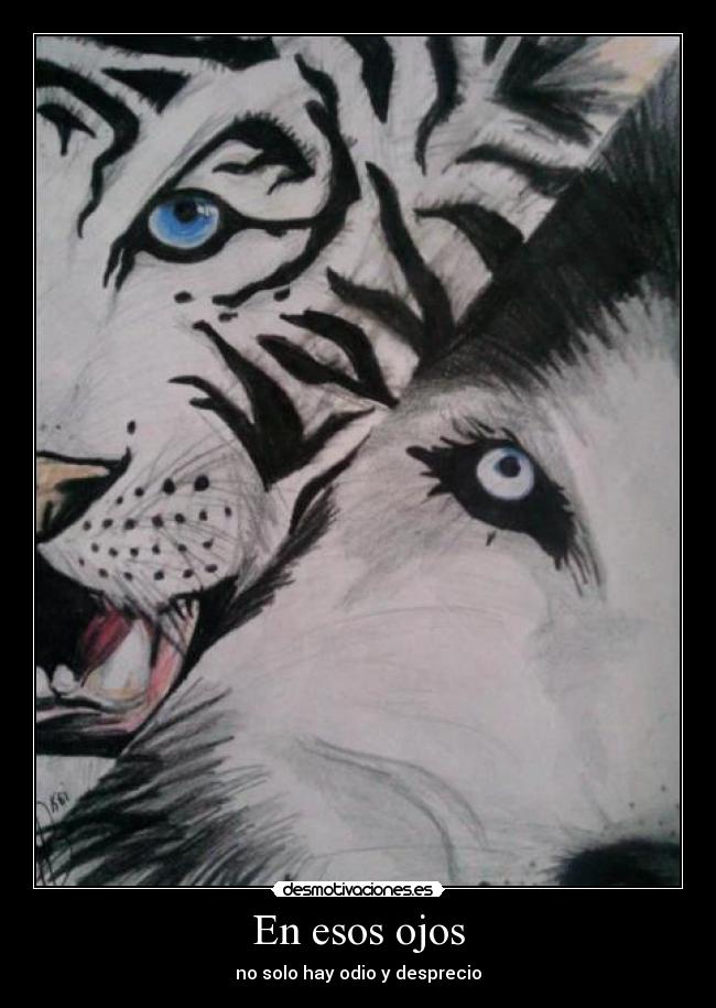 carteles lobo tigre desmotivaciones