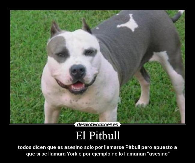 El Pitbull - 