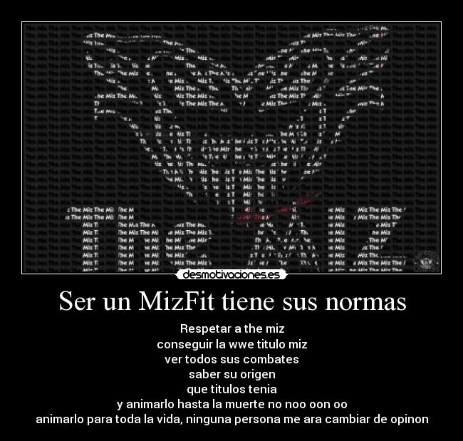 Ser un MizFit tiene sus normas -