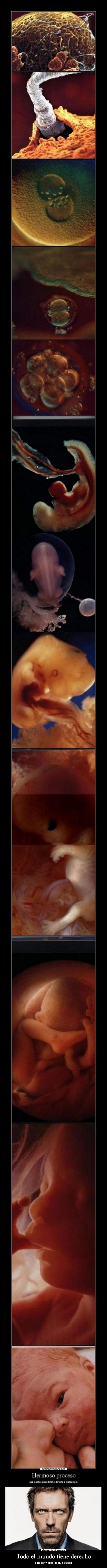 Todo el mundo tiene derecho - a hacer y creer lo que quiera.