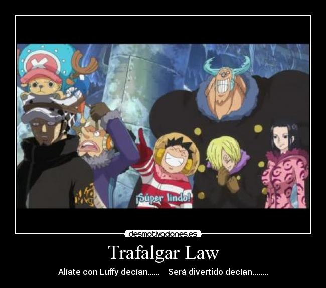 Trafalgar Law - Alíate con Luffy decían......    Será divertido decían........