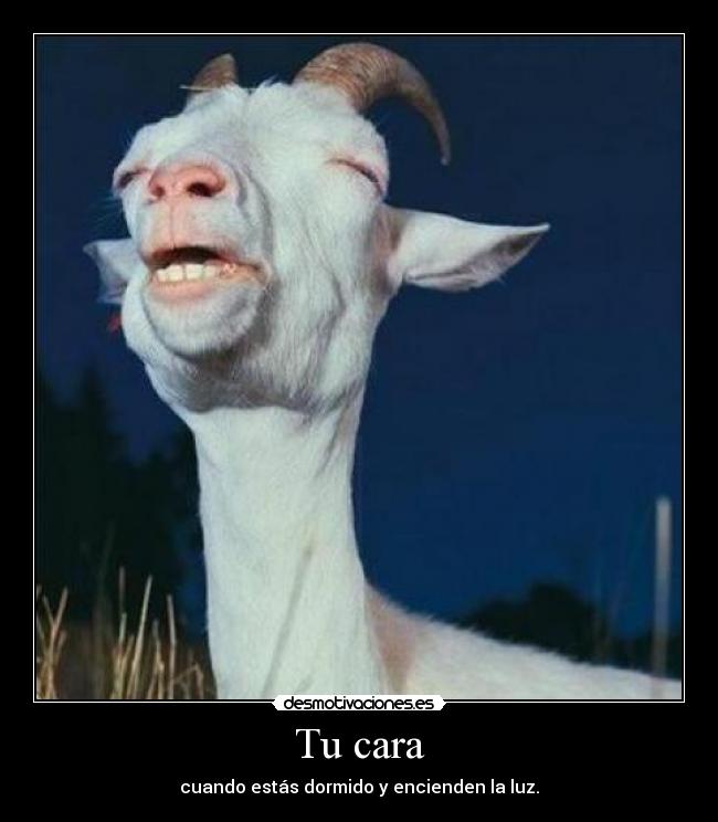 Tu cara - cuando estás dormido y encienden la luz.