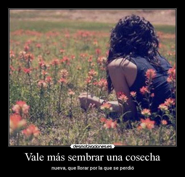 Vale más sembrar una cosecha - 