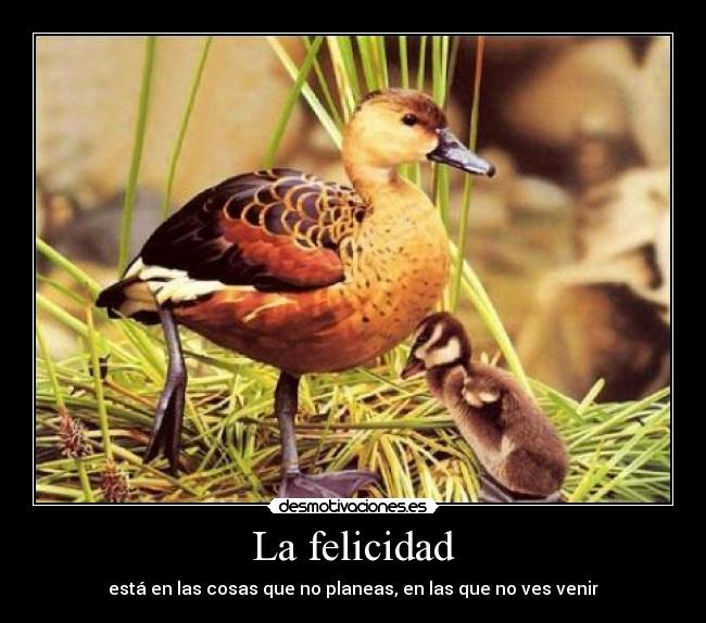 La felicidad -
