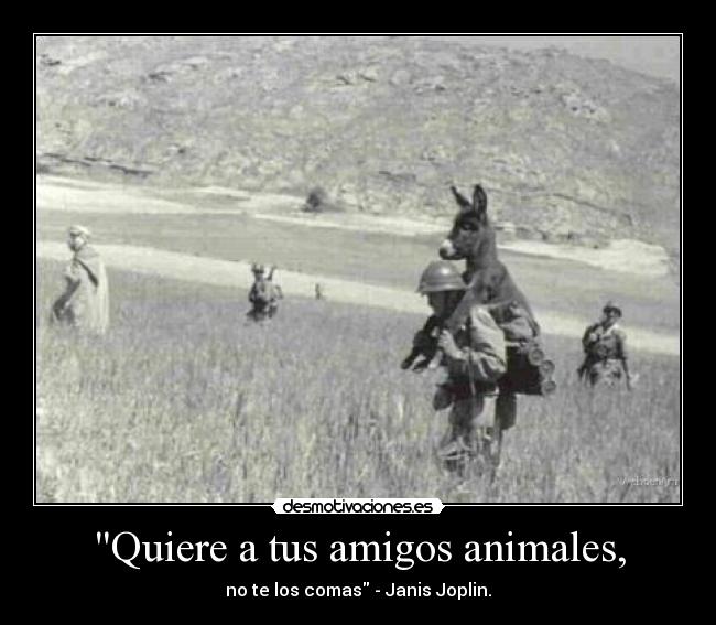 Quiere a tus amigos animales, - no te los comas - Janis Joplin.