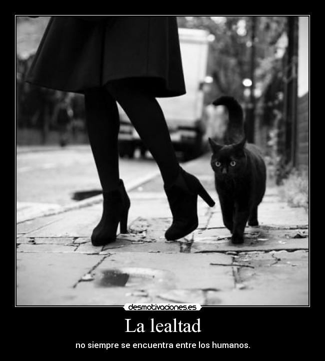 La lealtad - 