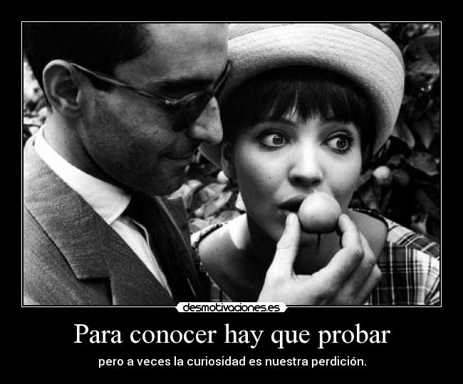 carteles jean luc jodard queria que saliera otra frase pero que hacer aifonfores desmotivaciones