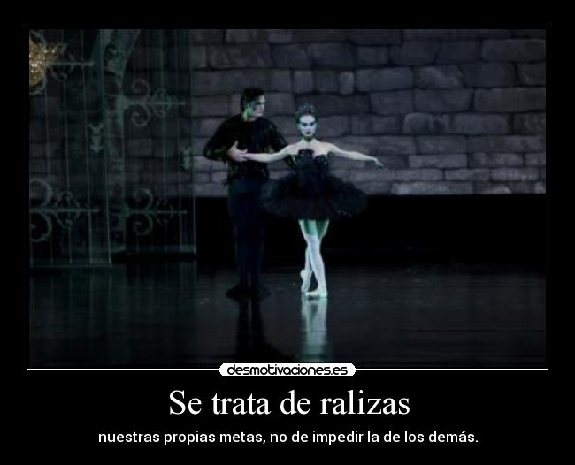 Se trata de ralizas -