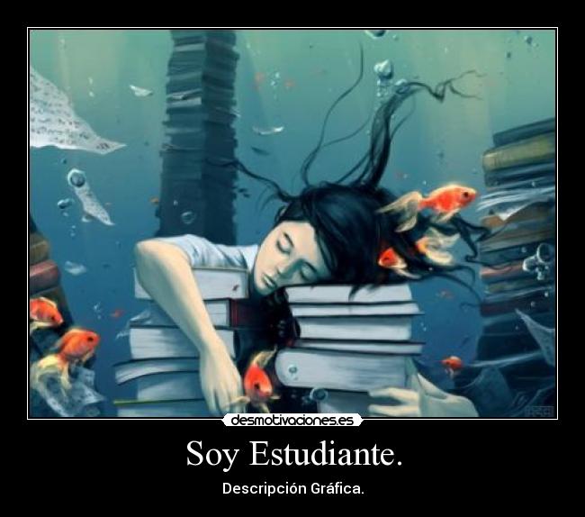 Soy Estudiante. - Descripción Gráfica.