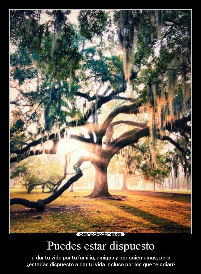 Puedes estar dispuesto - a dar tu vida por tu familia, amigos y por quien amas, pero
¿estarías dispuesto a dar tu vida incluso por los que te odian?