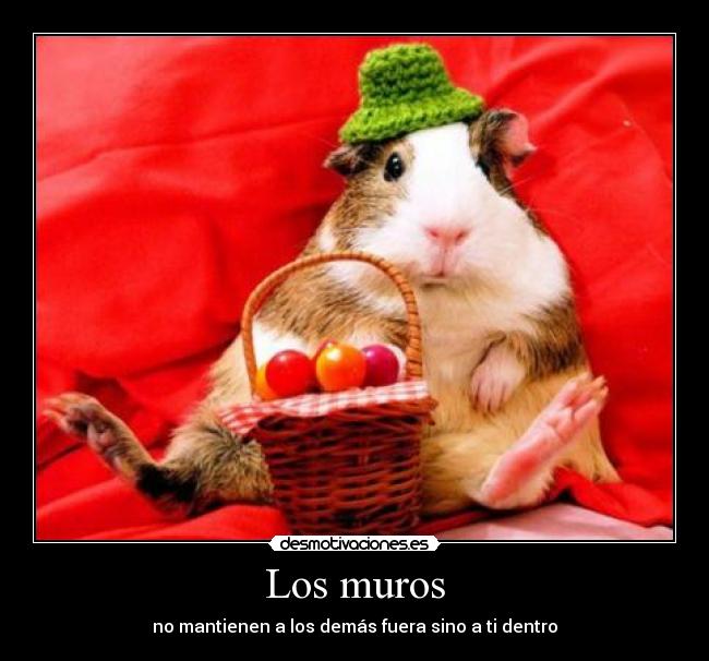 Los muros - 