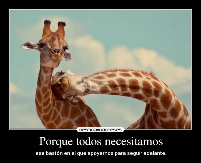 Porque todos necesitamos - ese bastón en el que apoyarnos para seguir adelante.