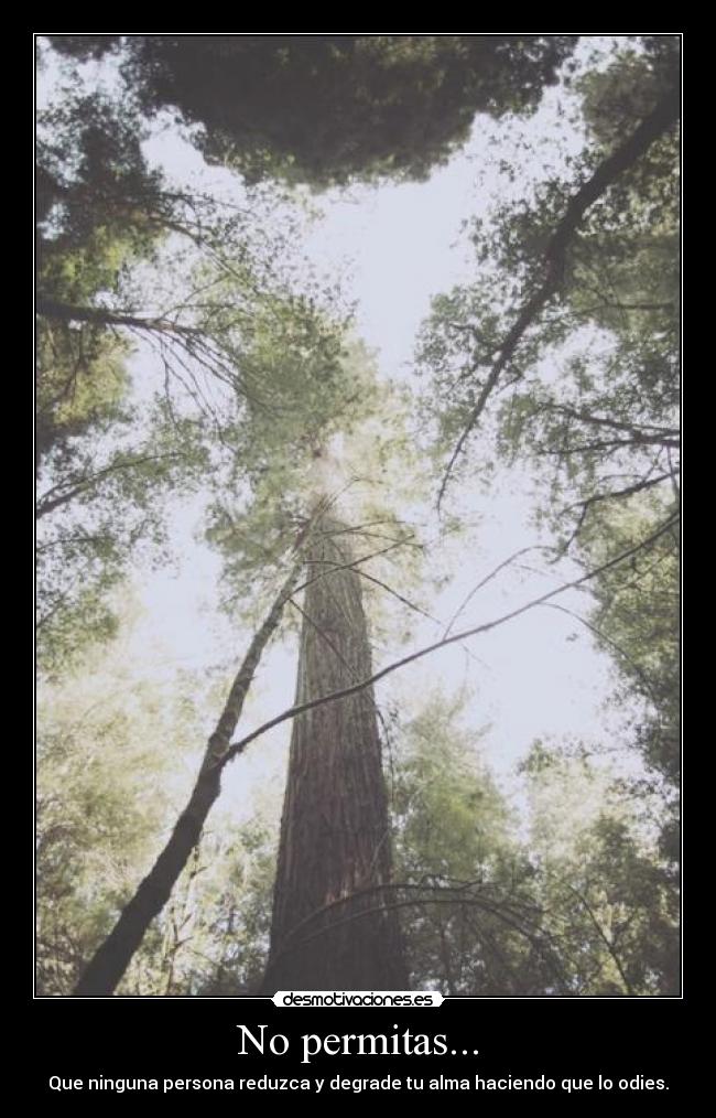 No permitas... -