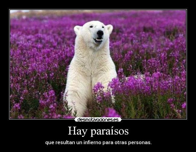 Hay paraísos -
