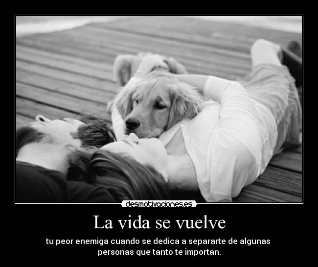 carteles vida mediometro quiero estar sin perrita sin pero sin estoy acostumbrada desmotivaciones