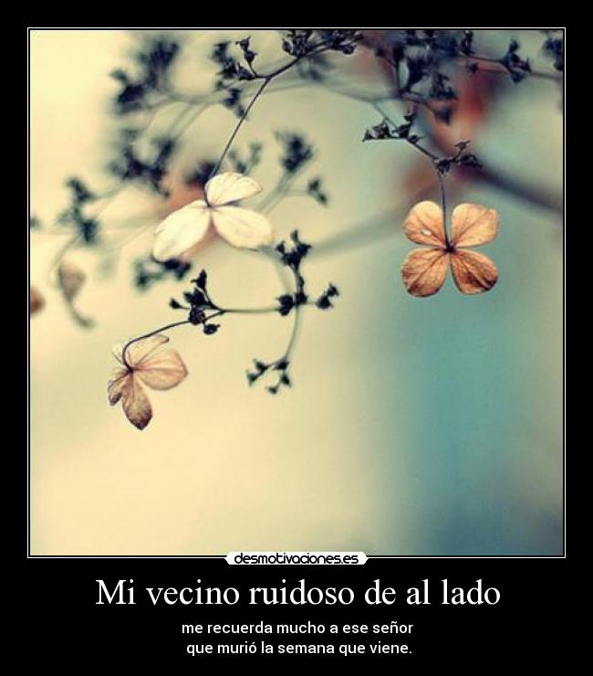 Mi vecino ruidoso de al lado - me recuerda mucho a ese señor
 que murió la semana que viene.