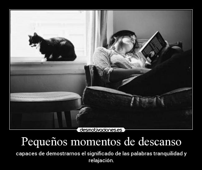Pequeños momentos de descanso - 